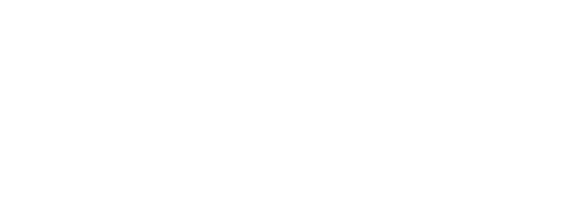 logo-vegalsa